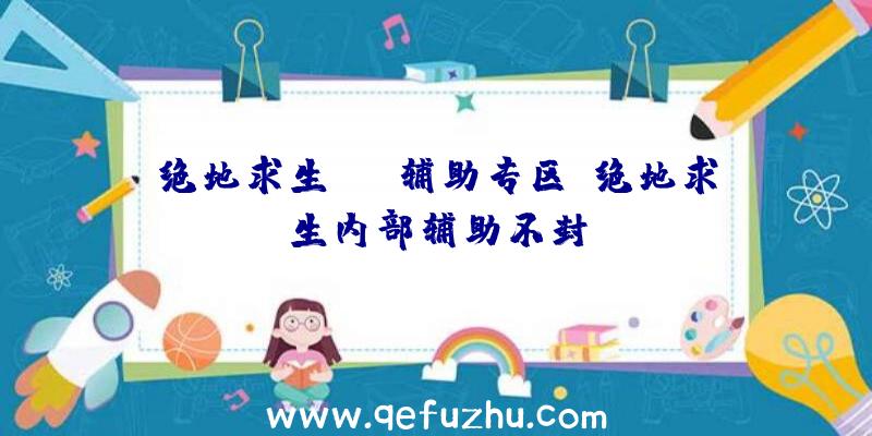 绝地求生skt辅助专区、绝地求生内部辅助不封