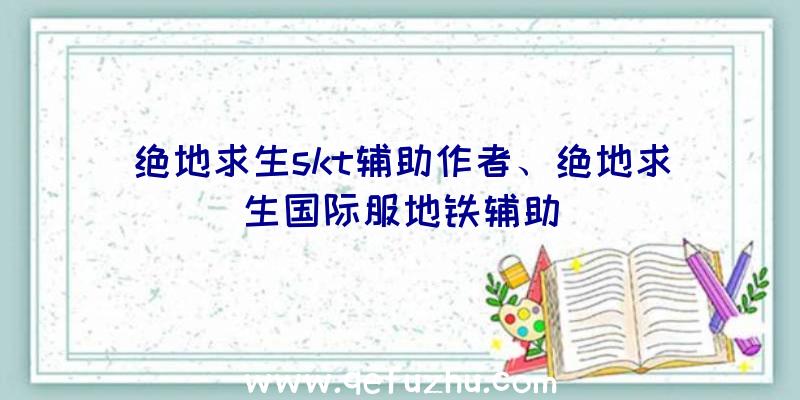 绝地求生skt辅助作者、绝地求生国际服地铁辅助