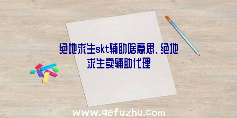 绝地求生skt辅助啥意思、绝地求生卖辅助代理