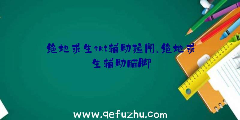 绝地求生skt辅助拉闸、绝地求生辅助瞄脚