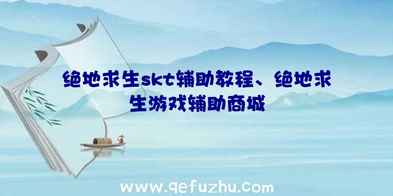 绝地求生skt辅助教程、绝地求生游戏辅助商城