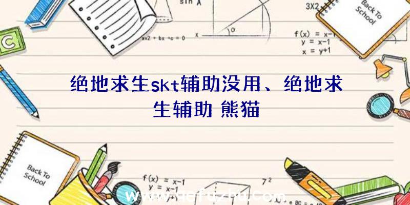 绝地求生skt辅助没用、绝地求生辅助