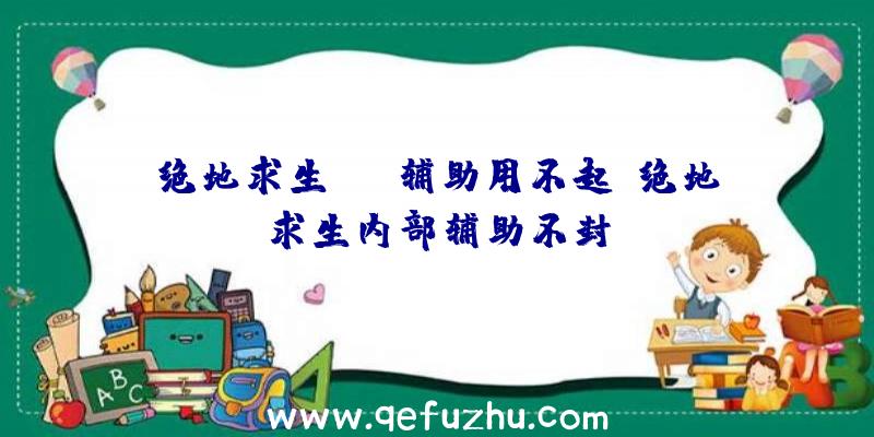 绝地求生skt辅助用不起、绝地求生内部辅助不封