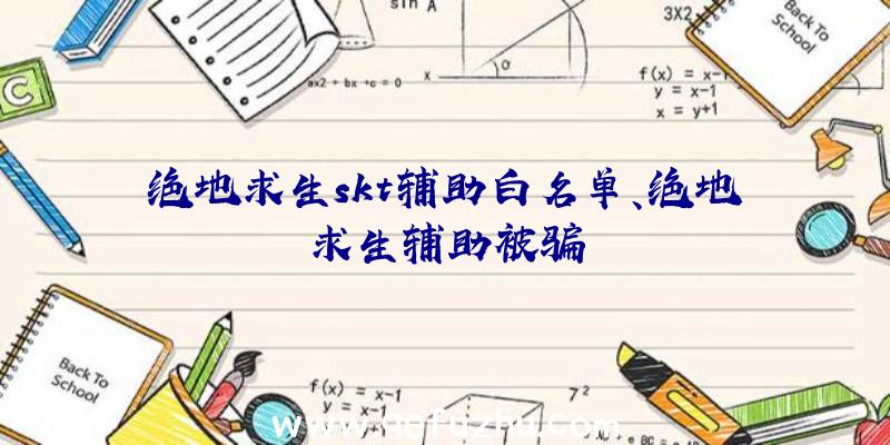 绝地求生skt辅助白名单、绝地求生辅助被骗