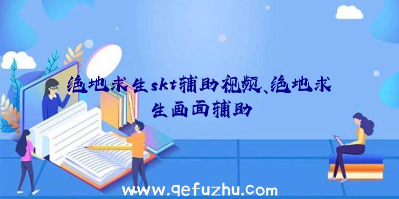 绝地求生skt辅助视频、绝地求生画面辅助