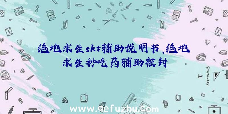 绝地求生skt辅助说明书、绝地求生秒吃药辅助被封