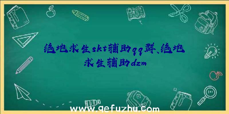 绝地求生skt辅助qq群、绝地求生辅助dzm