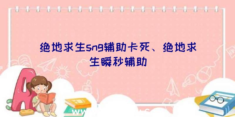 绝地求生sng辅助卡死、绝地求生瞬秒辅助