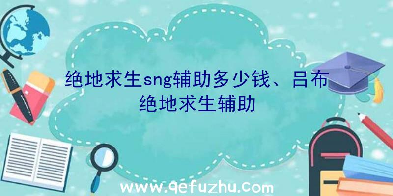 绝地求生sng辅助多少钱、吕布绝地求生辅助