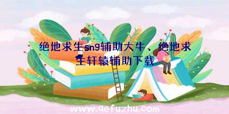 绝地求生sng辅助大牛、绝地求生轩辕辅助下载