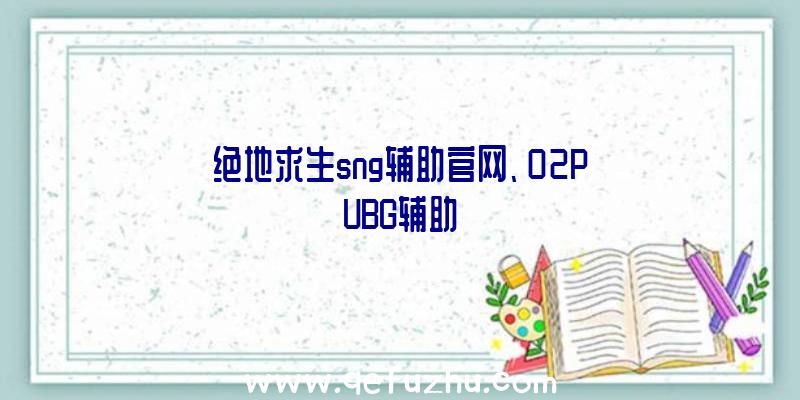 绝地求生sng辅助官网、02PUBG辅助