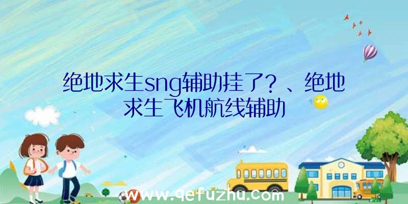 绝地求生sng辅助挂了？、绝地求生飞机航线辅助