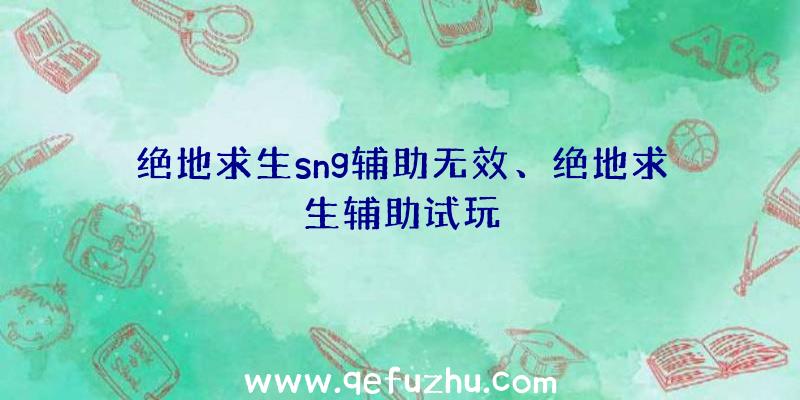 绝地求生sng辅助无效、绝地求生辅助试玩