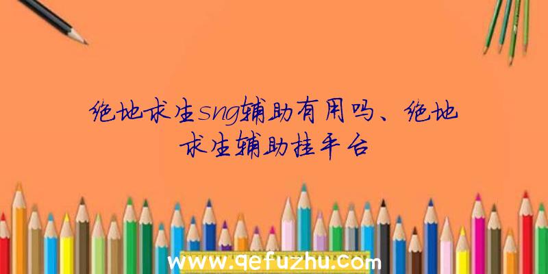 绝地求生sng辅助有用吗、绝地求生辅助挂平台