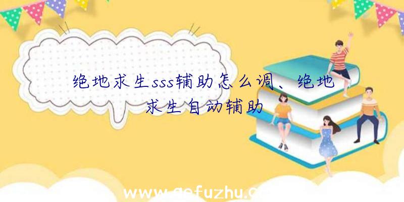 绝地求生sss辅助怎么调、绝地求生自动辅助