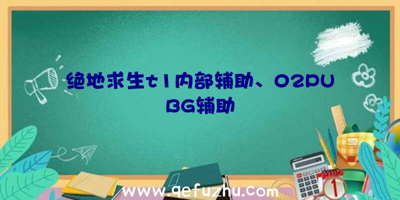 绝地求生t1内部辅助、02PUBG辅助