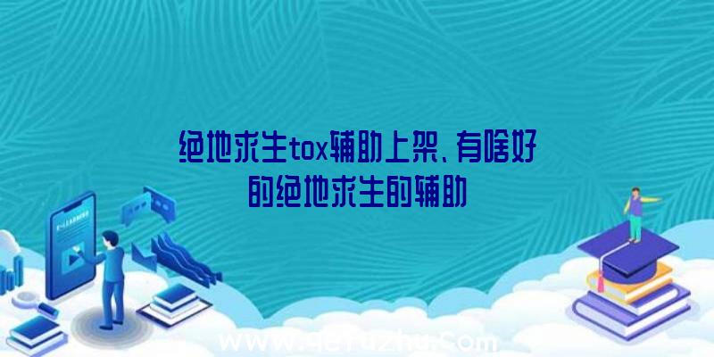 绝地求生tox辅助上架、有啥好的绝地求生的辅助