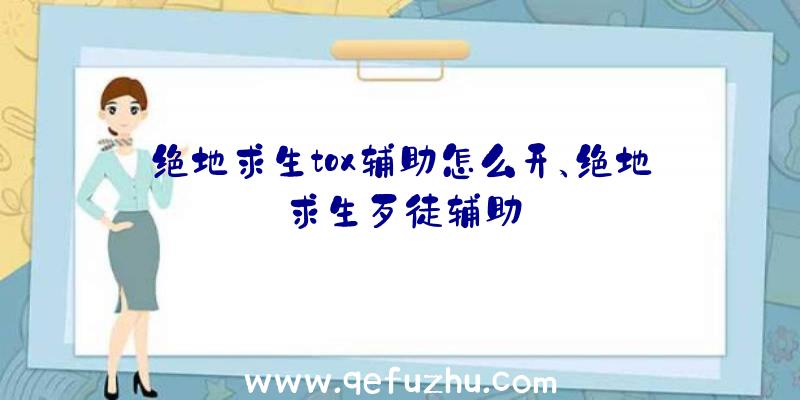 绝地求生tox辅助怎么开、绝地求生歹徒辅助