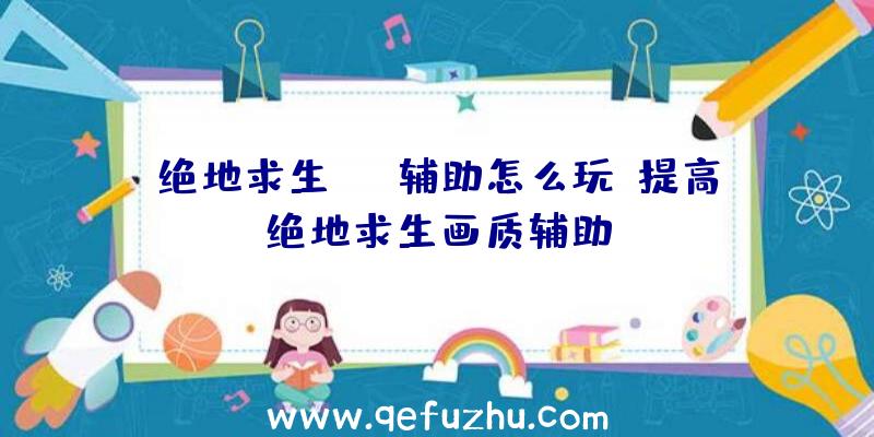 绝地求生tox辅助怎么玩、提高绝地求生画质辅助