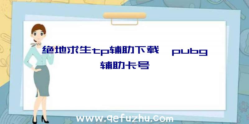 绝地求生tp辅助下载、pubg辅助卡号