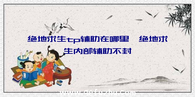 绝地求生tp辅助在哪里、绝地求生内部辅助不封