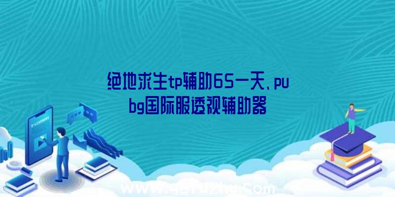 绝地求生tp辅助65一天、pubg国际服透视辅助器