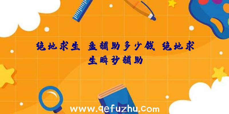 绝地求生u盘辅助多少钱、绝地求生瞬秒辅助