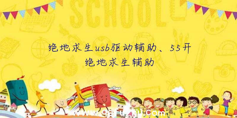 绝地求生usb驱动辅助、55开绝地求生辅助