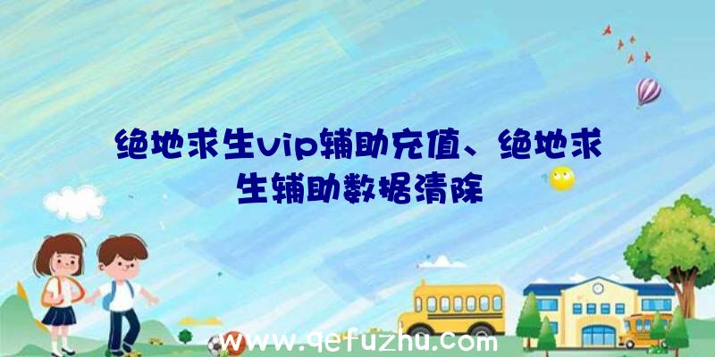 绝地求生vip辅助充值、绝地求生辅助数据清除