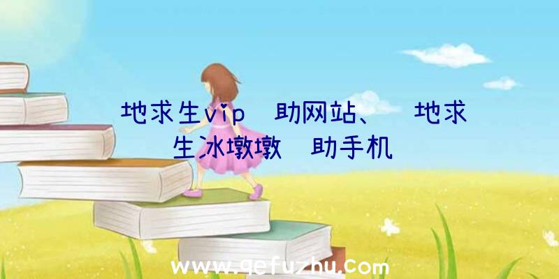 绝地求生vip辅助网站、绝地求生冰墩墩辅助手机