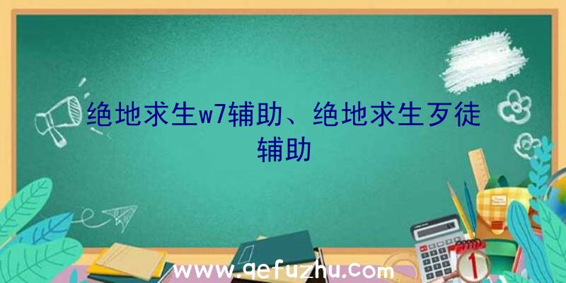 绝地求生w7辅助、绝地求生歹徒辅助