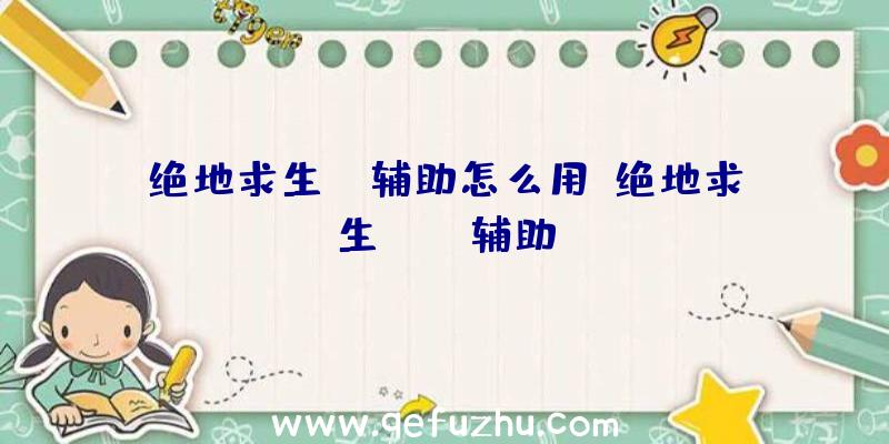 绝地求生we辅助怎么用、绝地求生boss辅助