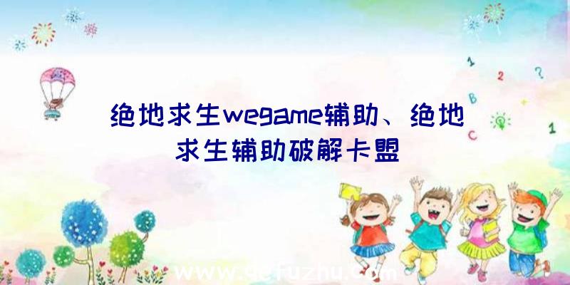 绝地求生wegame辅助、绝地求生辅助破解卡盟