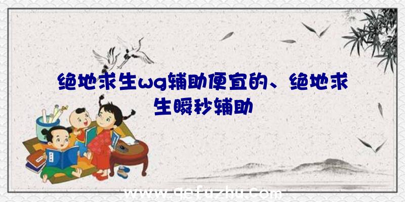 绝地求生wg辅助便宜的、绝地求生瞬秒辅助