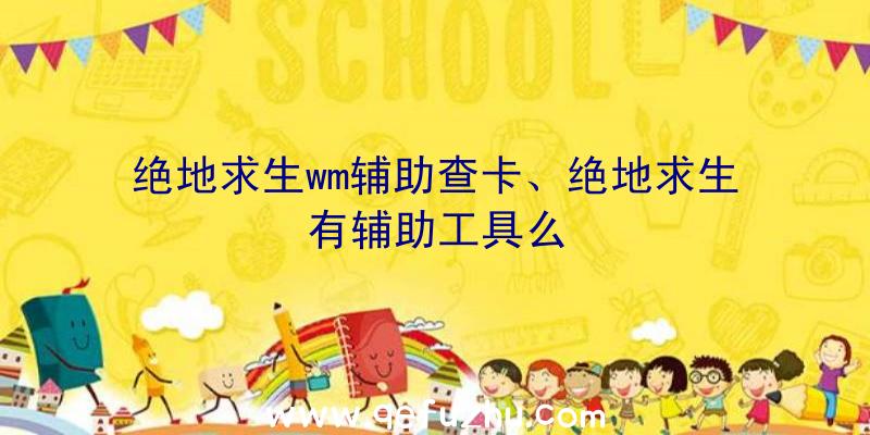 绝地求生wm辅助查卡、绝地求生有辅助工具么