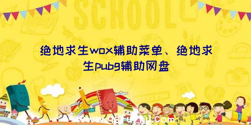 绝地求生wox辅助菜单、绝地求生pubg辅助网盘