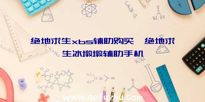 绝地求生xbs辅助购买、绝地求生冰墩墩辅助手机