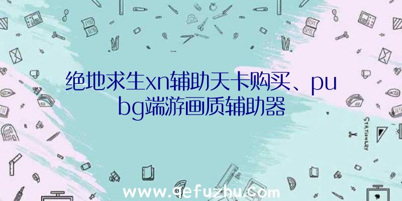 绝地求生xn辅助天卡购买、pubg端游画质辅助器