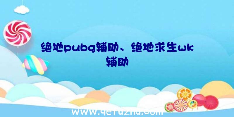 绝地pubg辅助、绝地求生wk辅助