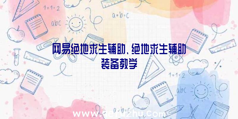 网易绝地求生辅助、绝地求生辅助装备教学