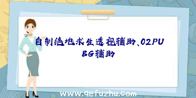 自制绝地求生透视辅助、02PUBG辅助