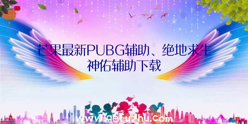 芒果最新PUBG辅助、绝地求生神佑辅助下载