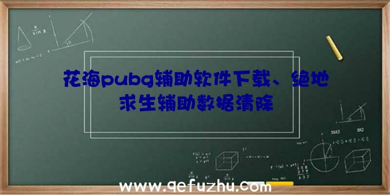 花海pubg辅助软件下载、绝地求生辅助数据清除