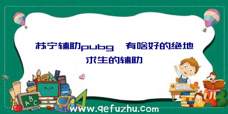 苏宁辅助pubg、有啥好的绝地求生的辅助