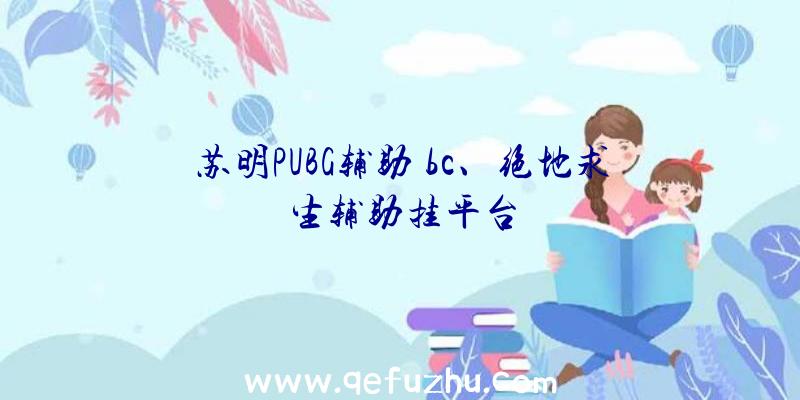 苏明PUBG辅助