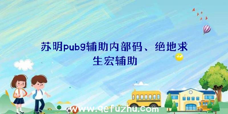 苏明pubg辅助内部码、绝地求生宏辅助