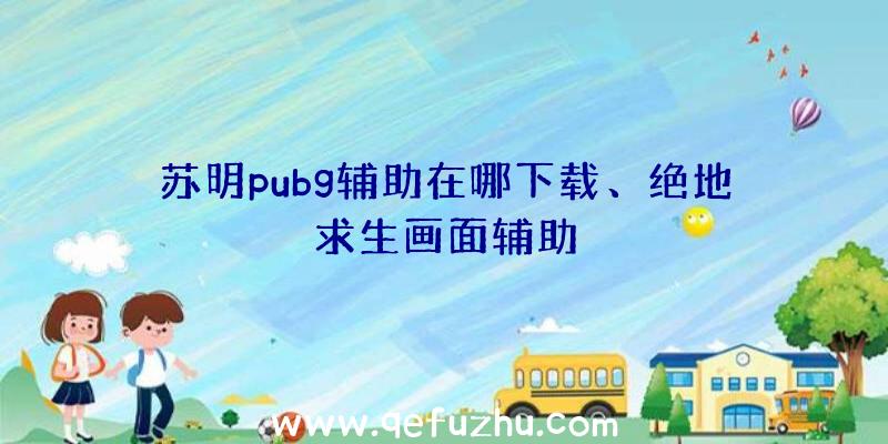 苏明pubg辅助在哪下载、绝地求生画面辅助