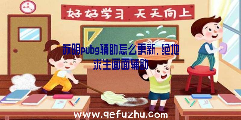 苏明pubg辅助怎么更新、绝地求生画面辅助