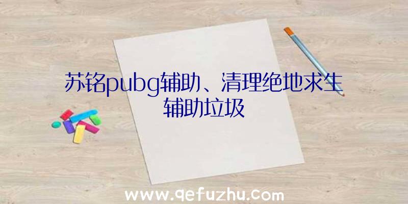 苏铭pubg辅助、清理绝地求生辅助垃圾