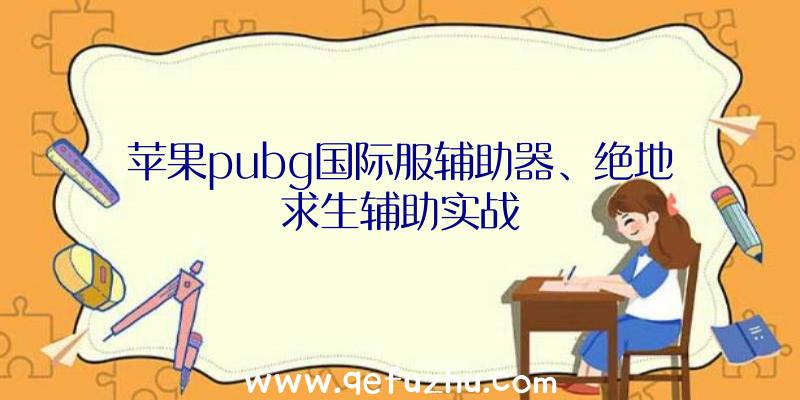 苹果pubg国际服辅助器、绝地求生辅助实战